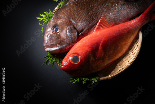 Photos 鯛　金目鯛