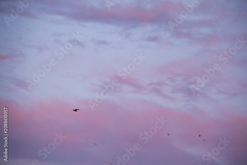 pastel winter sky with pink and purple clouds