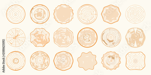 Foto Wood Log Cross Sections Vector Illustration Set With Grain Patterns
