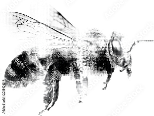 Canvastavla A detailed illustration of a bee composed of many small black dots, presented on a grey background