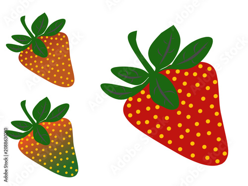 Obraz na plátně Set of strawberries different ripeness stages flat illustration
