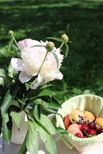 White peony flowers in a vase beside a basket of fresh fruits including cherries and muffins on a picnic blanket in a sunny green park setting