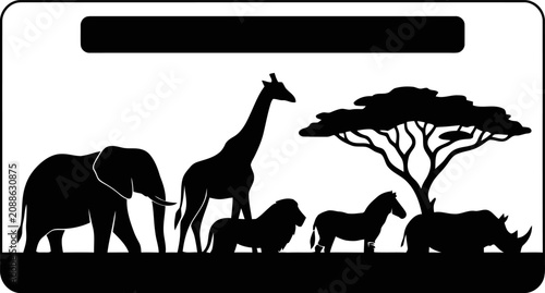 Photography giraffe in the wild