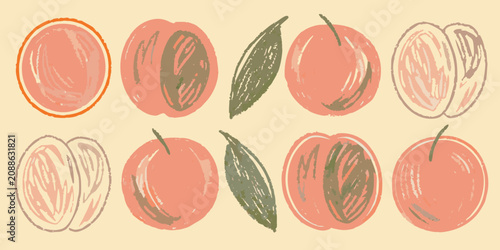 Canvastavla Peaches And Leaves Vector Illustration With Textured Surfaces