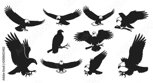 Eagles are flying and landing on various terrain in a natural setting.