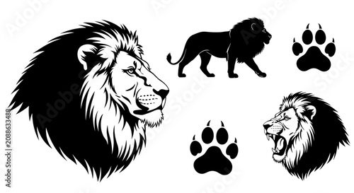 Two lion heads and a walking lion with paw prints are illustrated.