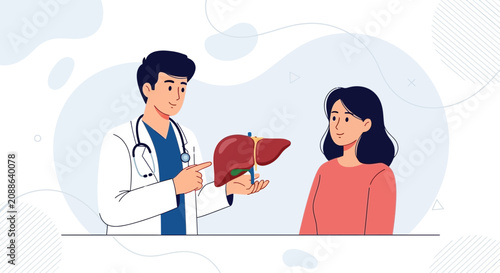 Doctor Explains Liver Health To Patient - Medical Consultation Vector Illustration