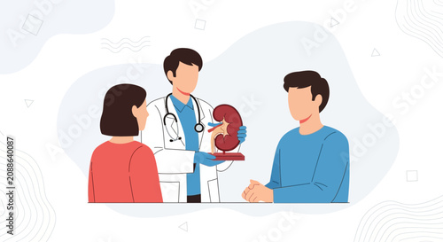Doctor Explains Kidney Health to Patients with Anatomical Model