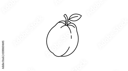 Konstfotografi An illustration of a single lychee fruit with leaves on a plain background