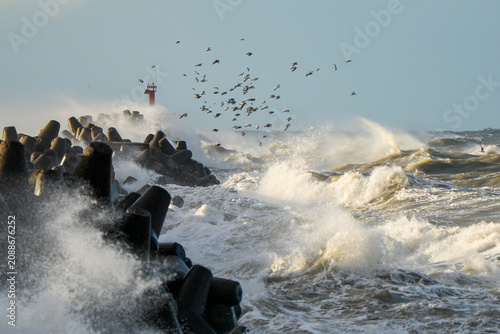 Raging Baltic Sea Waves Crashing Against Liepaja Harbor Breakwater as Seabirds Fly Over Stormy Coast