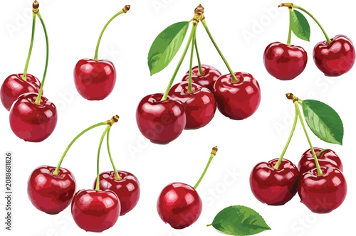 Fresh Cherries with Stems and Leaves on White Background