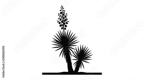 Yucca Plant Silhouette Against A White Background Silhouette