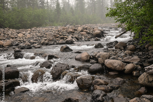 Mountain stream on a cloudy summer day.
