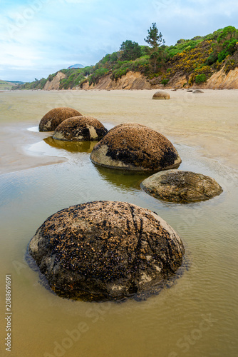 Canvas Print Moeraki Boulders, old spherical boulders on the beach on the Otago coastline of