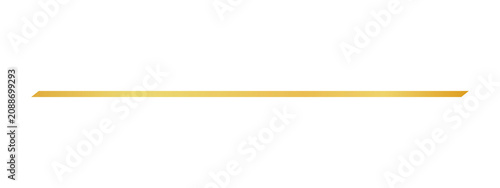 Fotografie Single thin horizontal golden line ribbon element