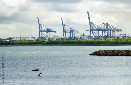 Foto Panoramic view of the bay and harbourof of Port Louis, the economic, cultural an