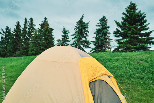 Camping tent in a green meadow with pine trees