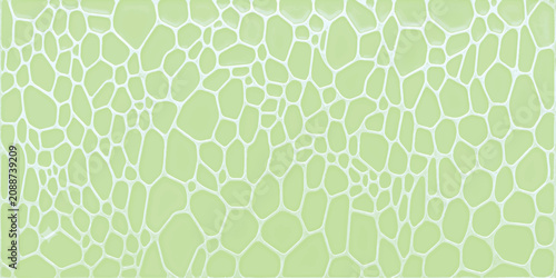 Abstract Light Green Organic Plant Cell Pattern Background EPS