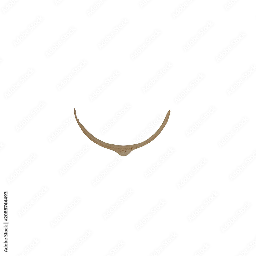 Fototapeta premium Minimalist brown eyebrow curved line icon