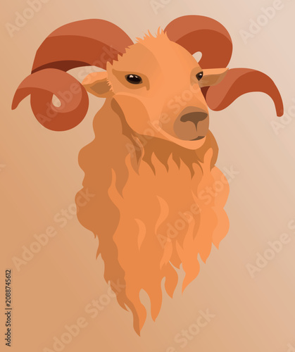 Ram Head With Curled Horns Flat Vector Illustration For Chinese New Year 2027 digitally hand drawn