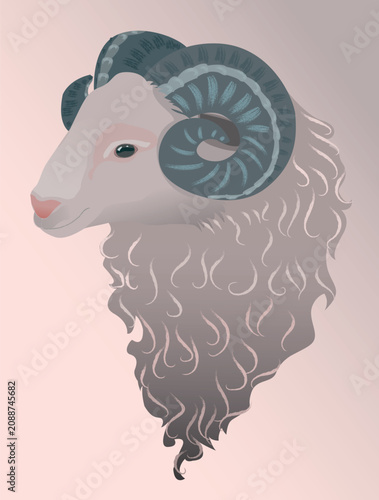 Ram Head Side View With Spiral Horn Flat Vector Illustration For Chinese New Year 2027 digitally hand drawn