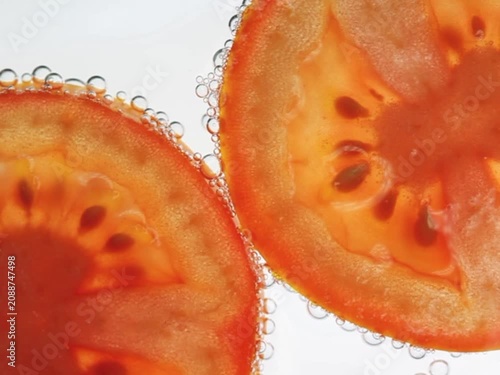Macro video of tomato slices with water bubbles on white background.