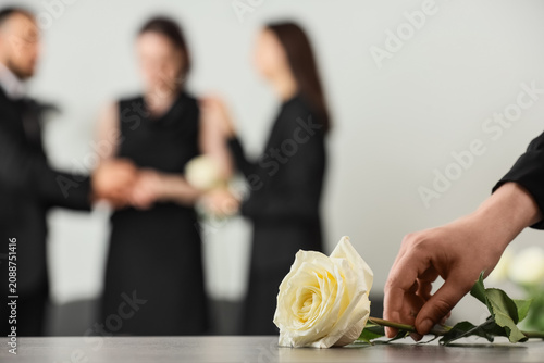 фотографія White rose with grieving people in background at funeral