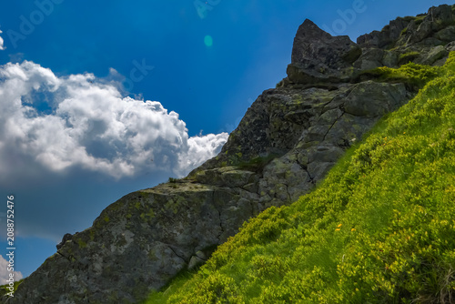 Принти на полотні Rocky alpine slope rising above lush mountain vegetation under a deep blue sky in the Tatra Mountains