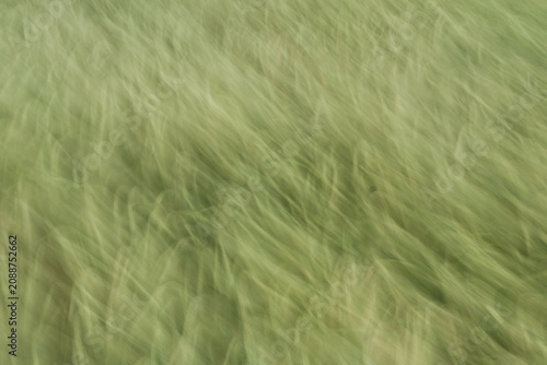 Muted green tones with motion blur effect