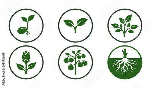 Foto Green plant growth icon set collection , set of 6 organic seedling and sprout ve