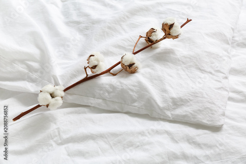 Cotton sprig on white bed s...