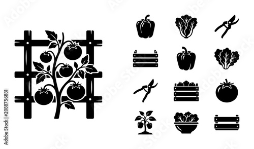 Obraz na plátne Black gardening icons set with tomato plant on trellis, vegetable harvest collec
