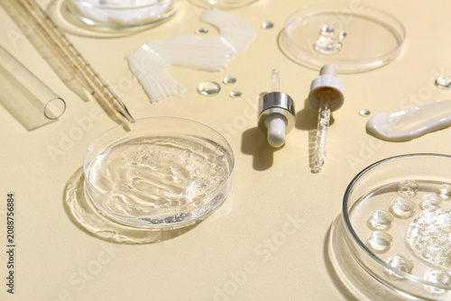 Petri dishes with different samples, professional glassware and pipettes on y...