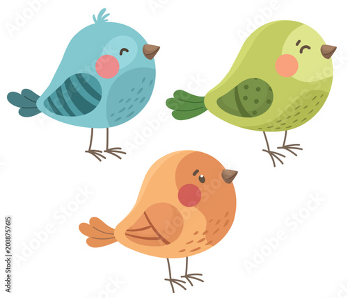 Cute birds in flat style, cartoon characters