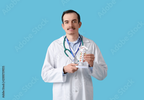 Male doctor with spine mode...
