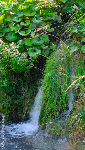 Small forest waterfall spilling into pond surrounded by greenery