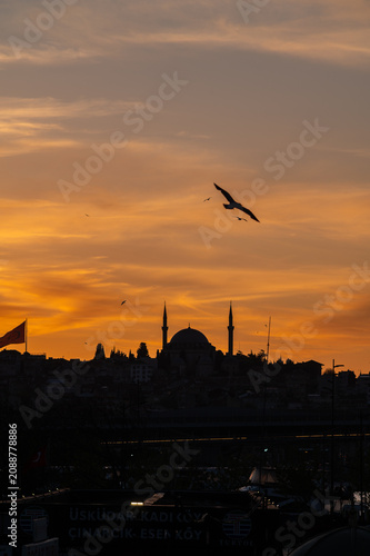 vertical photo of a city landscape with silhouettes of a mosque in the center and other buildings in the sunset of istanbul.