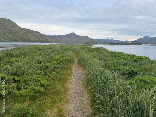 A narrow path heads out through the grass to the ocean and mountains beyond