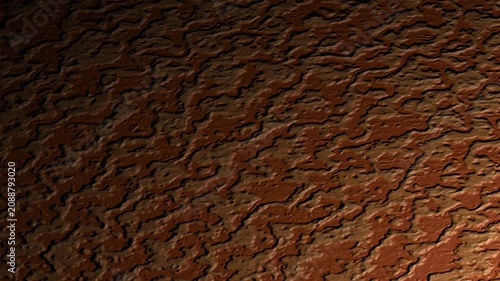 Textured Surface Closeup Moving Light Revealing Rich Ridges and Warm Tones