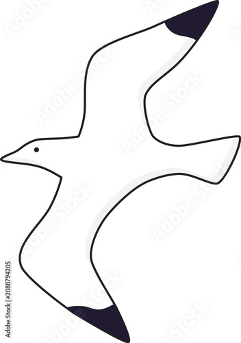 Flying seagull