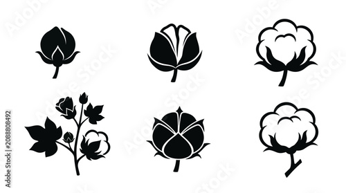 Flat vector icon set featuring six cotton pod stages: unopened cotton boll, cracked boll, fully opened cotton, cotton branch, cotton seed capsule, harvested cotton boll