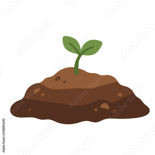 Young Plant Sprouting from Soil