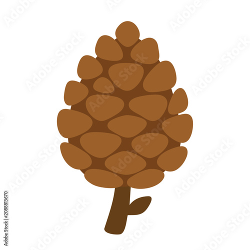 Illustrated Pine Cone on White Background