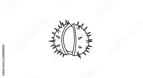 Foto Horse chestnut shell opening with nut inside line art