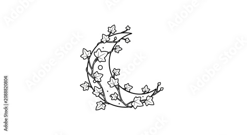 Fényképezés Celestial crescent moon entwined with leafy ivy vines