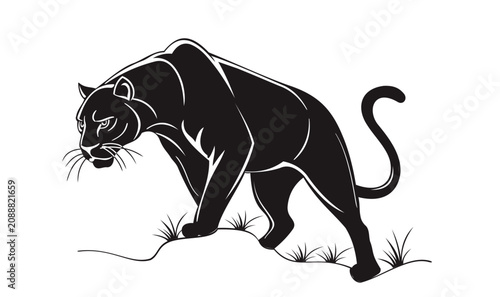Silhouette of a mountain panther, vector illustration.