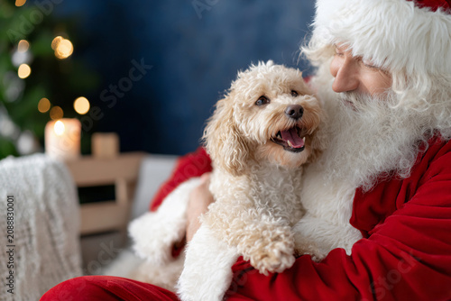 Santa Claus Holding a Happy Dog at Christmas