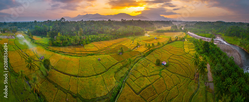 Beautiful panoramic aerial view of terraced rice fields at sunrise in Indonesia, surrounded by lush tropical greenery and palm trees