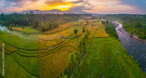 Beautiful panoramic aerial view of terraced rice fields at sunrise in Indonesia, surrounded by lush tropical greenery and palm trees