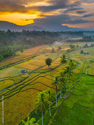 Beautiful panoramic aerial view of terraced rice fields at sunrise in Indonesia, surrounded by lush tropical greenery and palm trees